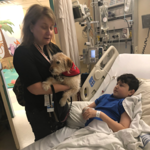 Claudia's son in a hospital bed.