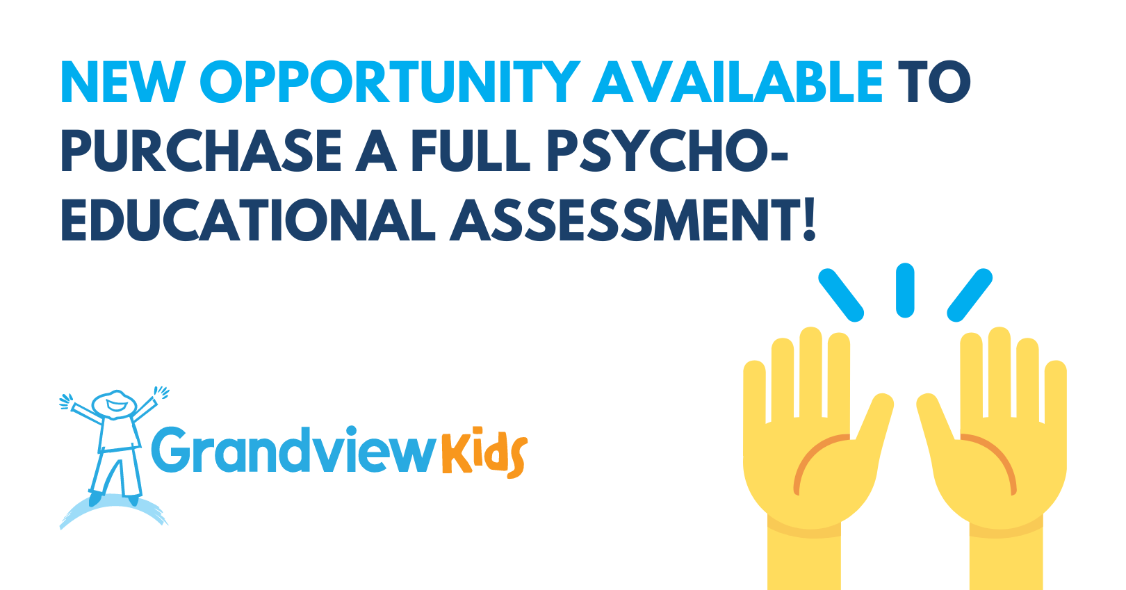 New opportunity available to purchase a full psycho-educational assessment