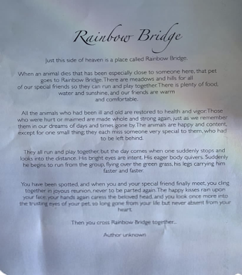 A poem about a dog's life entitled, "Rainbow Bridge". 